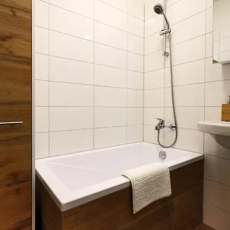 Old Town Apartment Cheb